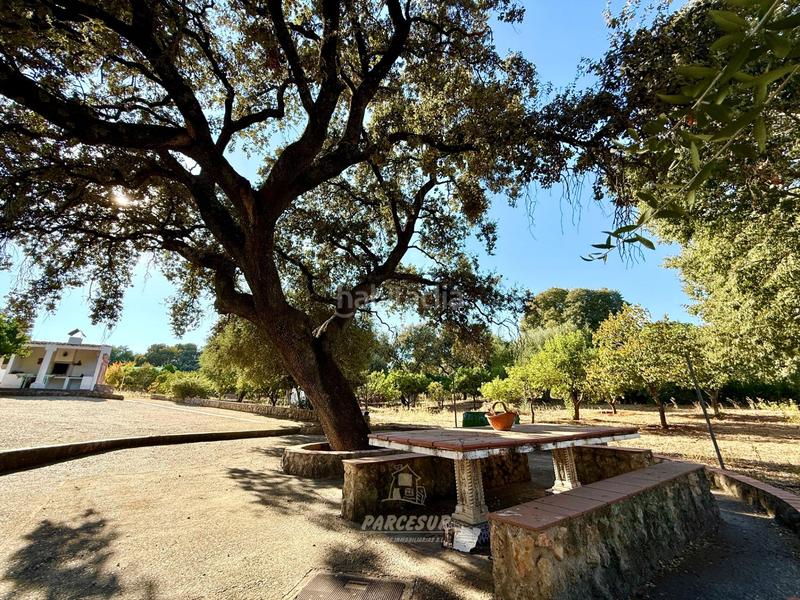 Foto 3696557b-04fd-4939-8490-25b0fdcaeffb. Masia amb piscina a Almodóvar del Río