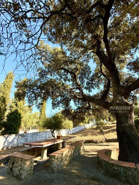 Foto 672a0f94-301d-48eb-9d47-3df7f1ce49d1. Masia amb piscina a Almodóvar del Río