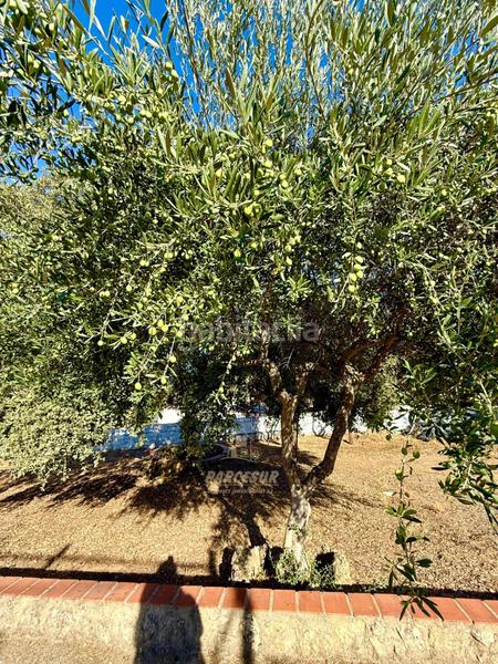 Foto b174fe71-7be7-4d0e-8d13-ab1cdb25b494. Masia amb piscina a Almodóvar del Río