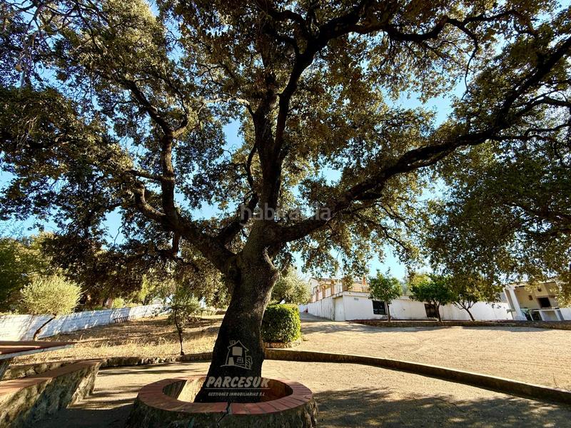 Foto ed1ab892-6437-4427-bfa3-112558817d8c. Masia amb piscina a Almodóvar del Río