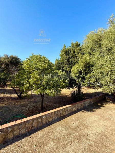 Foto f89adfae-b125-4169-a435-cca7107e5ccb. Masia amb piscina a Almodóvar del Río