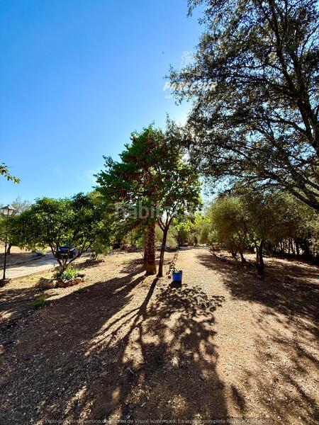 Foto 90aafd1b-714d-41a6-a190-f1dc42ec1dca. Mas avec piscine dans Las Jaras Córdoba