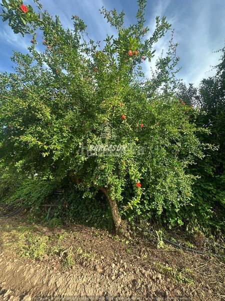 Foto c91421b4-0f19-41c4-a17c-28c07897cee4. Casa a Belmez