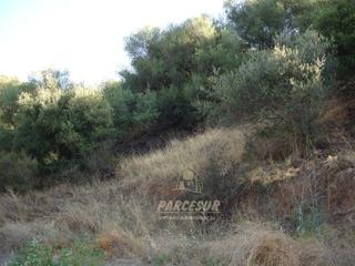 Terreno residenziale in Alcolea. Suelo urbano de 36.000 m2 en los encinares de alcolea.
