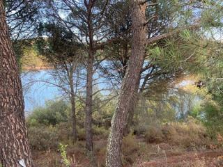 Residential Plot in Las Jaras. Zona las jaras. parcela de terreno de 1154 m2 con punto de luz.