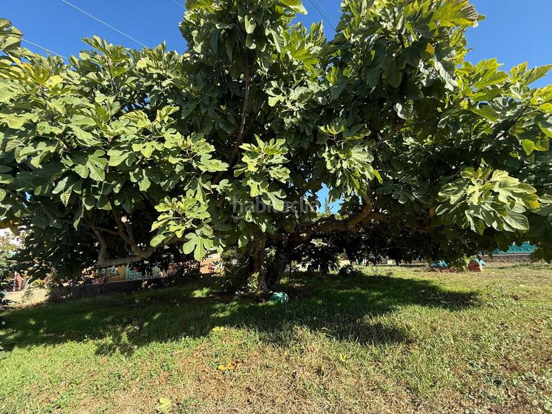 Foto 5ff36128-b61e-47a8-92f2-f734c805d921. Casa amb aparcament piscina a Villarrubia Córdoba