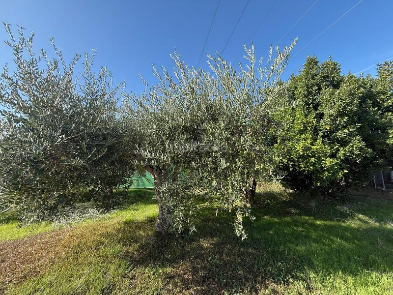 Foto f39a6ca2-6afa-476a-940e-b7f5f752b65e. Casa amb aparcament piscina a Villarrubia Córdoba