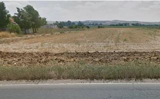 Propriété à Encinarejo de Córdoba. Terreno de siembra de 12.250 m2, fachada a la carretera.
