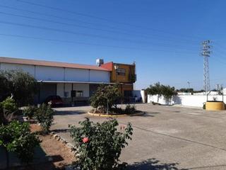 Bâtiment à usage industriel à El Higuerón. Zona la barquera parcela de 842 m2 de terreno con 3 naves y 1 vi