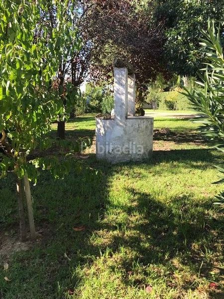 Foto edcfadf5-be13-4a3b-83eb-fadda0e62477. Haus mit pool in Almodóvar del Río