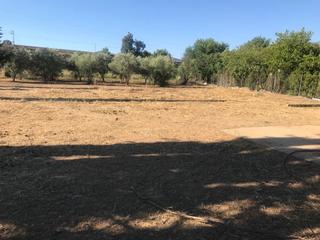Terreny residencial a El Higuerón. Parcela de terreno de 2700 m2 por la barquera con fosa séptica y