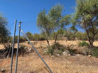 Terreny residencial a Almodóvar del Río. Zona charco roto  parcela de terreno de 1500 m2 con punto de luz