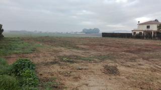 Terreny residencial a El Higuerón. Parcela de terreno de 3.000 m2 con escrituras independientes del