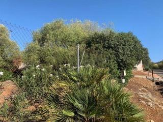 Terreny residencial a Almodóvar del Río. Zona la cigarra alta  parcela de terreno de 5400 m. con punto de