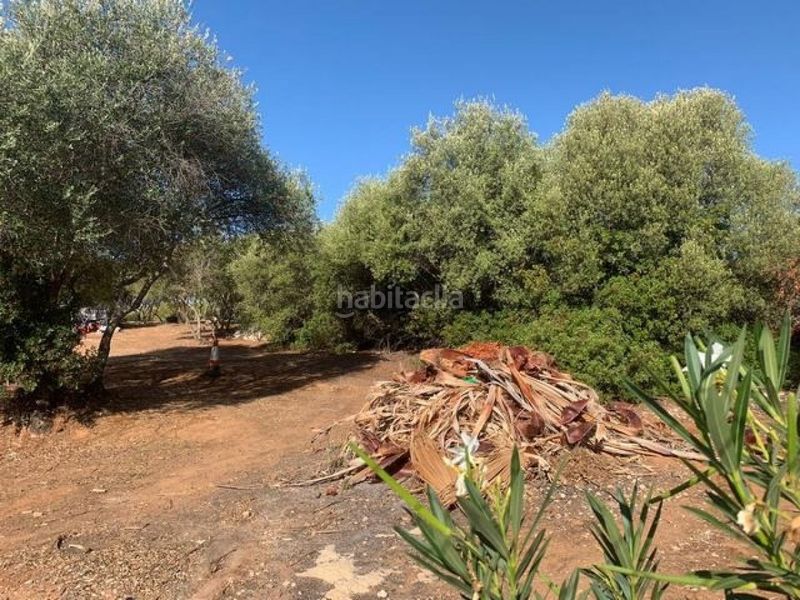 Foto b9f836b8-28e3-4d66-96ff-478f4fc78a40. Wohngrundstück in Almodóvar del Río