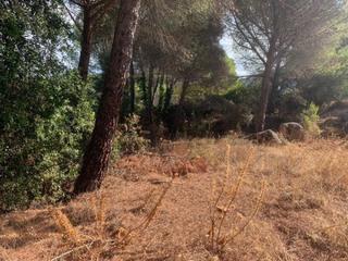 Terreno residencial en Las Jaras. Zona las jaras  parcela urbana de terreno de 1.500 m2 con punto