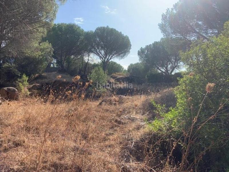 Foto 0f7d47ce-5ac7-4131-8c65-4a9ebb6bc1fe. Terreny residencial a Las Jaras Córdoba