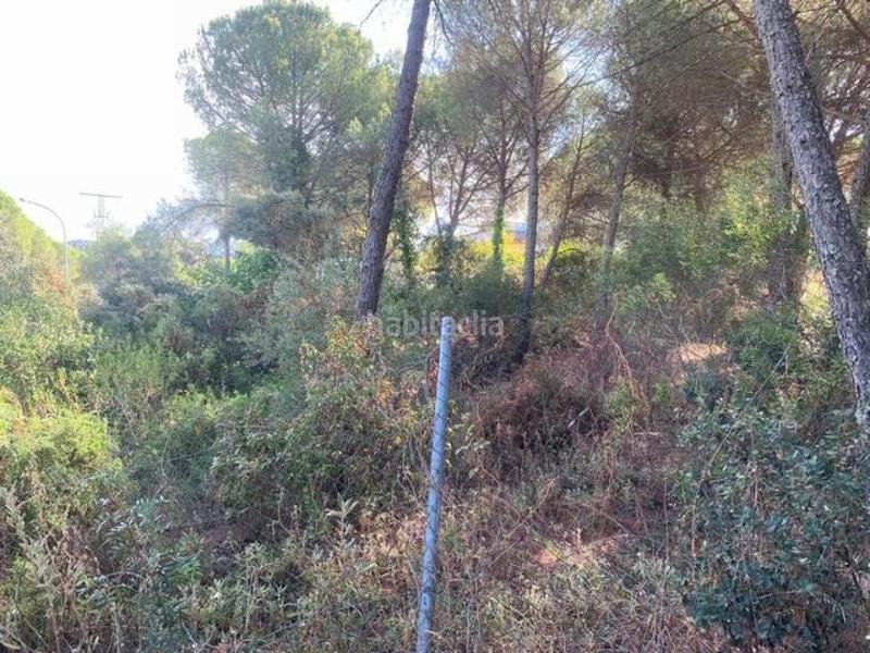 Foto d548d72a-c1cf-4979-9fd5-5859c0ba3664. Terreny residencial a Las Jaras Córdoba