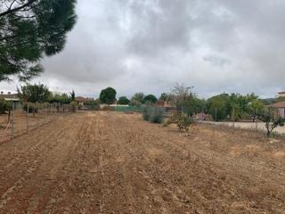 Residential Plot in El Higuerón. Parcela de terreno de 2100 m. en la gorgoja.