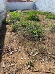 Residential Plot in Villarrubia. Solar hipotecable en villarrubia