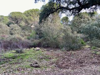 Masia a Santa Maria de Trassierra. Trassierrael salado  finca rustica de 23.000 m. con pozo de sond