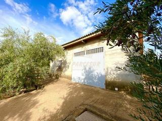 Maison à El Higuerón. Gorgoja  terreno de 10.000 m2 aprox. con nave de unos 48 m2. apr