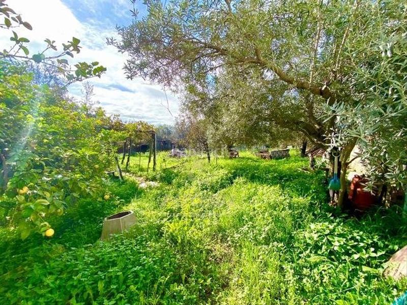 Foto b0055ba8-039b-4d1f-aab8-b60899e1d6f4. Casa a Alcolea Córdoba