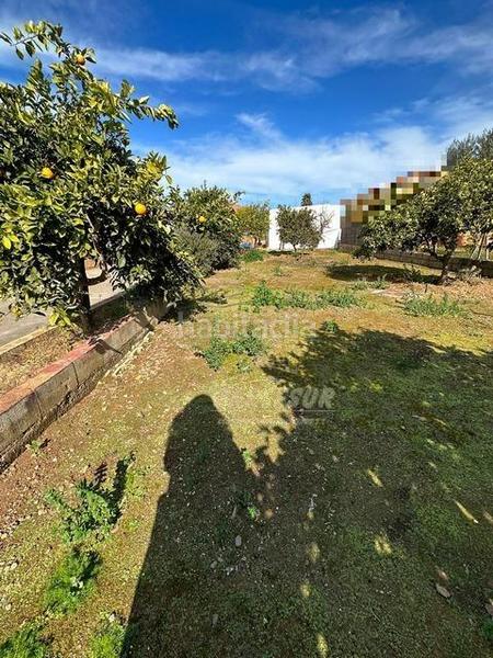 Foto a8d01915-bfed-4bd9-9540-ce87118b5826. Bauernhof mit parking in Villarrubia Córdoba