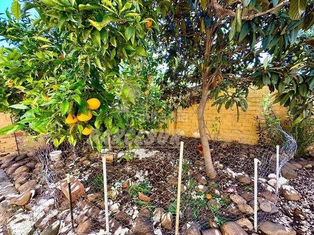 Foto fa43313a-322e-4800-ab0a-7fa9d61a0450. Casa amb aparcament piscina a El Higuerón Córdoba