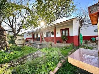 Mas à Adamuz. Adamuz  finca agricola de 6 has. con casa.