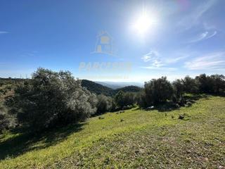 Terreno residenziale in El Higuerón. Zona assuan  fantástica parcela de 2.700m con olivos, en plena s