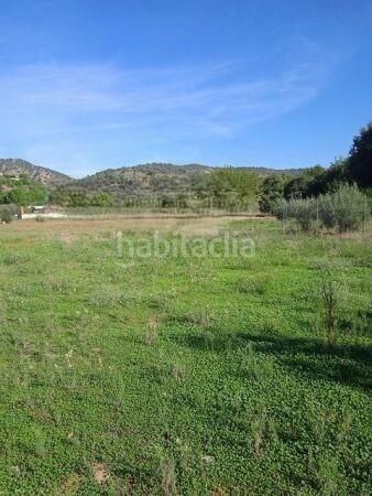 Foto 8169888c-4fd8-4242-9507-4b59e2845678. Wohngrundstück in Almodóvar del Río