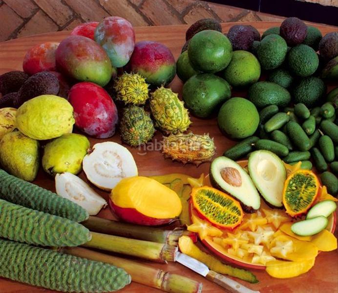 Foto ee3ca946-d1d0-4efa-a8fb-539346990779. Lloguer apartament a paseo de velilla 15a a Velilla - Velilla Taramay Almuñécar