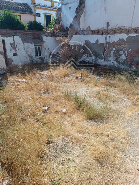 Foto d6e2f118-9f6e-4809-9d1f-a6024bb3a3b1. Terreno residenziale in Écija