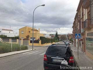 Local Comercial en Calle Lirio