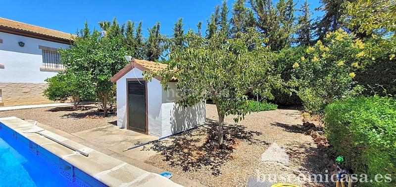 Foto 308812d1-5aa9-4b52-9f50-5730fa98bc0d. Haus mit heizung pool in San Roque - La Cruz - La Rozuela Linares