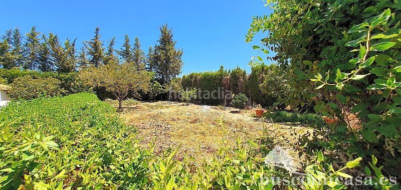 Foto 689e737e-aa9a-462c-bcab-421a0be4e618. Haus mit heizung pool in San Roque - La Cruz - La Rozuela Linares