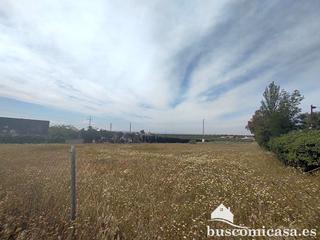 Terreny residencial  Carretera pozo ancho. Este solar se encuentra en avenida de arrayanes de linares, con