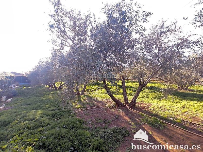 Foto 075ee5c1-05be-48e6-8ba3-c3cf1aebd603. Haus in San Roque - La Cruz - La Rozuela Linares