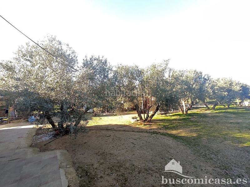 Foto 10854528-45ba-4908-8979-af79174d6453. Haus in San Roque - La Cruz - La Rozuela Linares