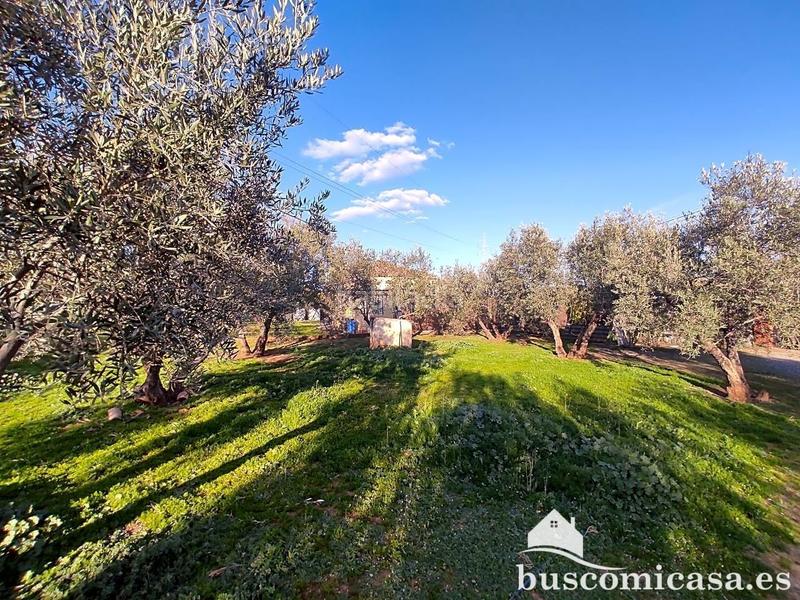 Foto 22d3c1fb-1729-4698-9034-eb782c499132. Haus in San Roque - La Cruz - La Rozuela Linares