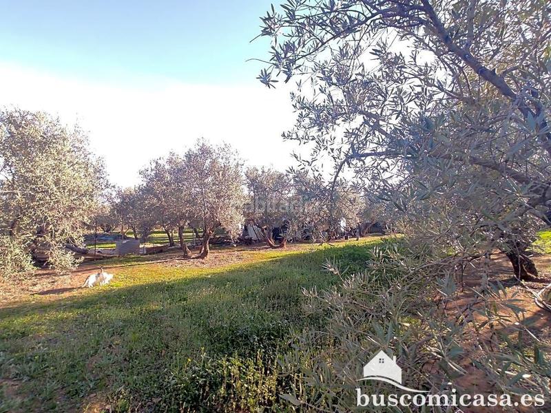 Foto 33fe302d-a4ab-4dbf-a59e-03240b820421. Haus in San Roque - La Cruz - La Rozuela Linares