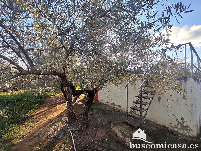 Foto 36781b20-81e7-49ae-9ab2-569188bde1c3. Haus in San Roque - La Cruz - La Rozuela Linares