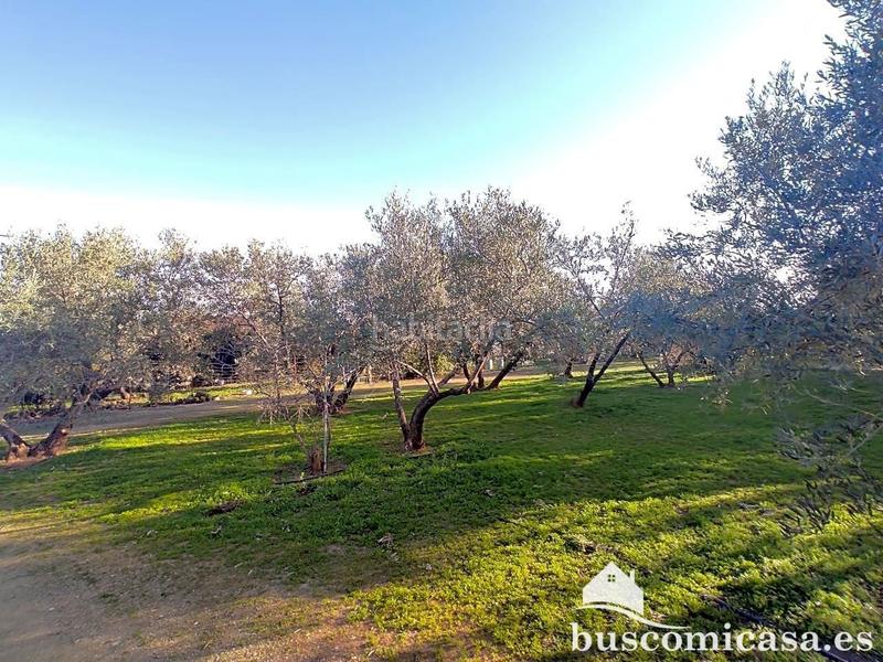 Foto 635f6e5c-b64f-49b2-ac8b-d841b0264ee0. Haus in San Roque - La Cruz - La Rozuela Linares