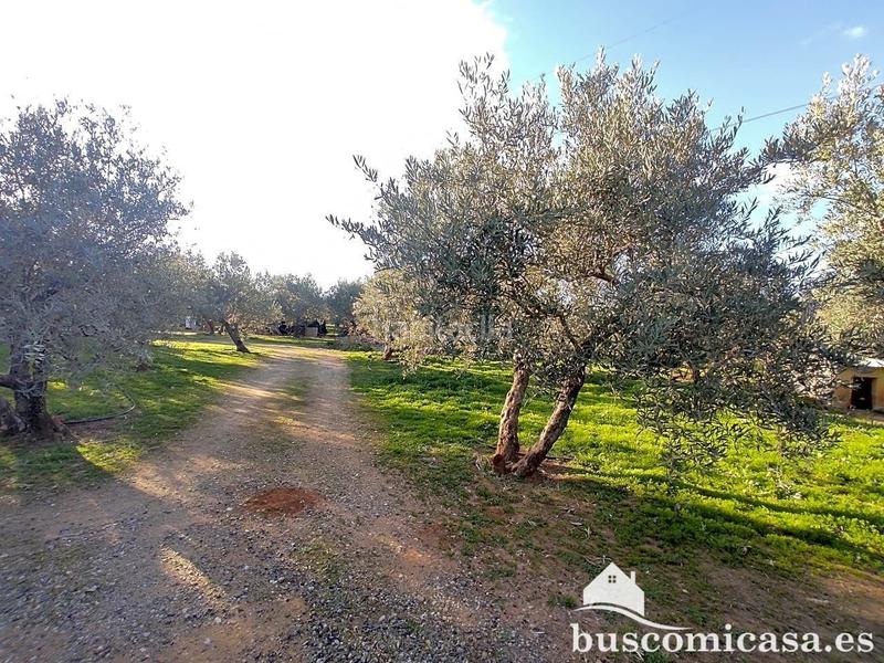 Foto 727faf06-f6e0-4d4f-a238-401be0780c48. Haus in San Roque - La Cruz - La Rozuela Linares