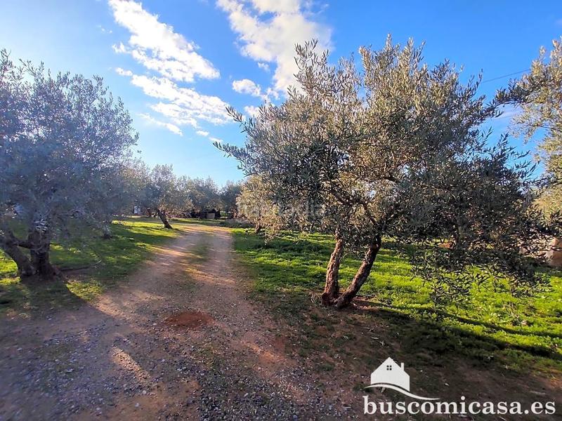 Foto bb87f96d-bcf7-42ca-a12d-c7eacab38bba. Haus in San Roque - La Cruz - La Rozuela Linares