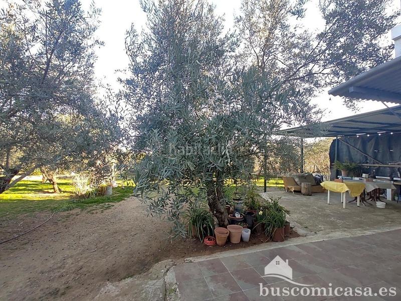 Foto e66d9b8c-8a94-448c-b213-ea9f69d3a379. Haus in San Roque - La Cruz - La Rozuela Linares