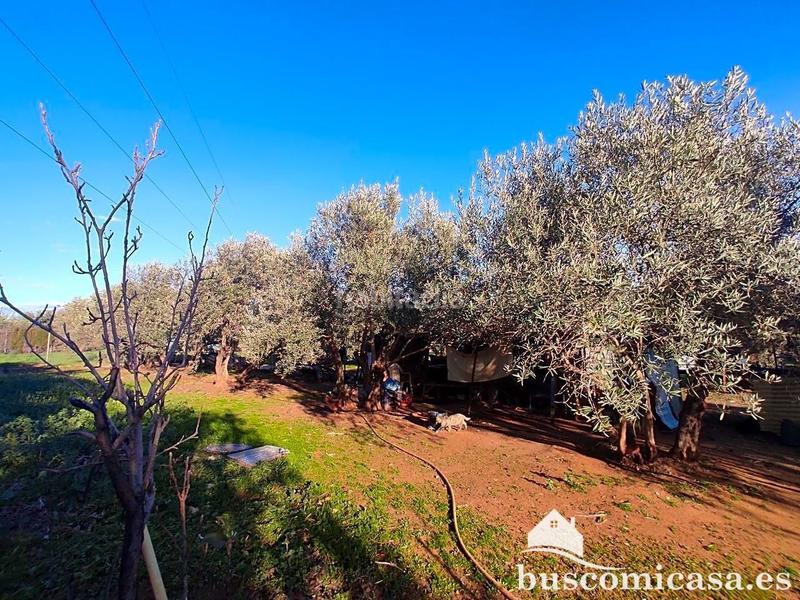 Foto ee6890b6-8e55-4eb5-a172-341246baca05. Haus in San Roque - La Cruz - La Rozuela Linares