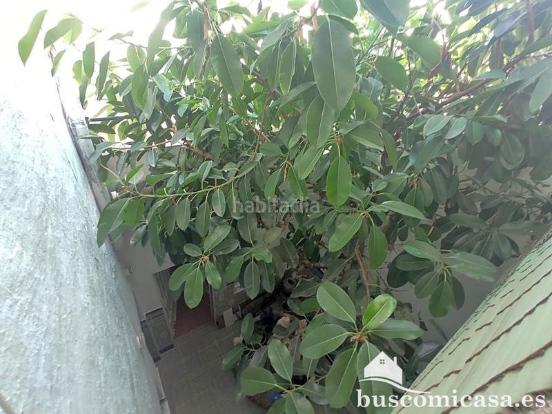 Foto 14ae3e0a-1a0a-4eb7-b050-30d6c50a02e1. Casa in Centro ciudad Linares