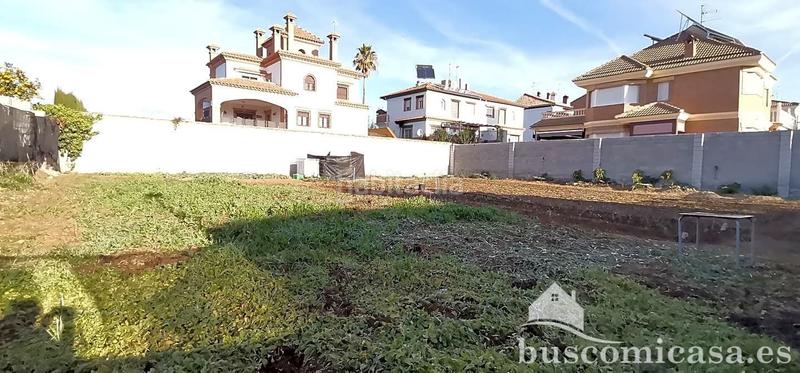 Foto 225e41df-3c47-406e-a393-31ca7fa01230. Terreny residencial a Linarejos Linares